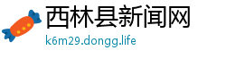 西林县新闻网